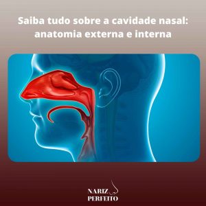 Saiba tudo sobre a cavidade nasal: anatomia externa e interna