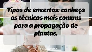 Tipos de enxertos: conheça as técnicas mais comuns para a propagação de plantas.